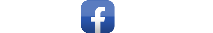 Facebook Like